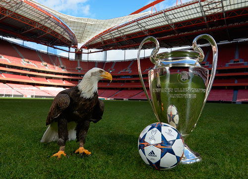 偏好才是消 偏好才是消